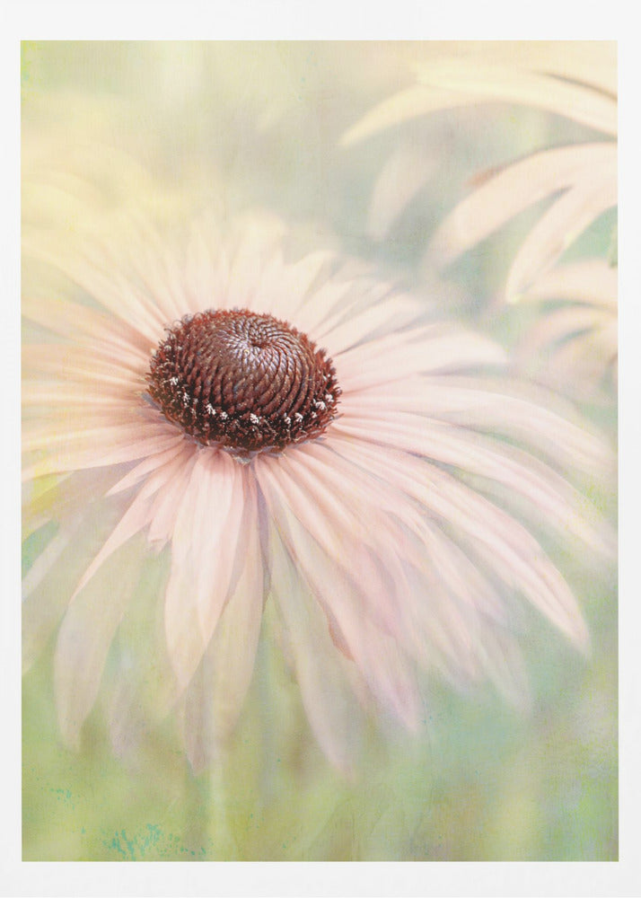 A soft-focus, artistic closeup of a pale pink coneflower with a prominent dark brown, textured center. The background is a dreamy, painterly blend of soft greens and yellows, giving the image an ethereal quality. Wall Art