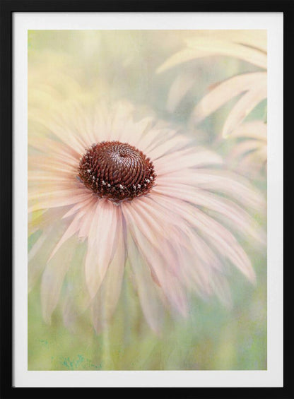 A soft-focus, artistic closeup of a pale pink coneflower with a prominent dark brown, textured center. The background is a dreamy, painterly blend of soft greens and yellows, giving the image an ethereal quality. Wall Art