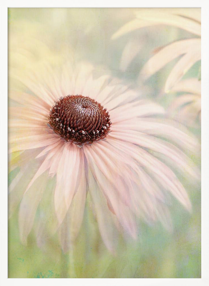 A soft-focus, artistic closeup of a pale pink coneflower with a prominent dark brown, textured center. The background is a dreamy, painterly blend of soft greens and yellows, giving the image an ethereal quality. Wall Art