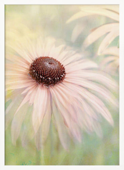 A soft-focus, artistic closeup of a pale pink coneflower with a prominent dark brown, textured center. The background is a dreamy, painterly blend of soft greens and yellows, giving the image an ethereal quality. Wall Art