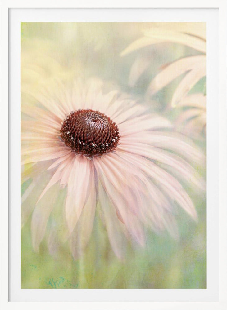 A soft-focus, artistic closeup of a pale pink coneflower with a prominent dark brown, textured center. The background is a dreamy, painterly blend of soft greens and yellows, giving the image an ethereal quality. Wall Art