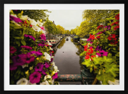 A scenic view looking down a canal in Amsterdam from a bridge, framed by vibrant, out-of-focus purple, red, and white flowers in the foreground. The canal is lined with houseboats and lush green and yellow trees, with historic buildings visible behind them. Poster