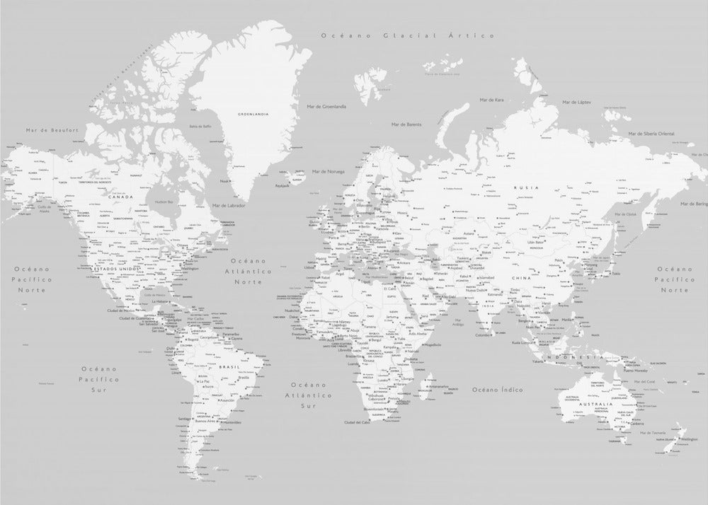 A detailed world map in Spanish with a monochromatic color scheme, framed in a light gray wooden frame. The continents are shown in white on a light gray ocean background, with countries and numerous cities labeled in black text. Artwork