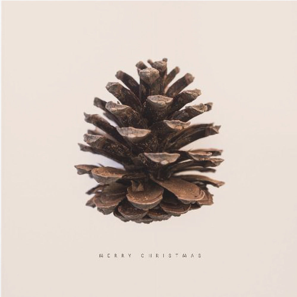 A minimalist art print featuring a single brown pinecone centered on an off-white background. The words 'MERRY CHRISTMAS' are printed in a simple, spaced-out font below the pinecone. The entire image is enclosed in a light wood frame. Artwork