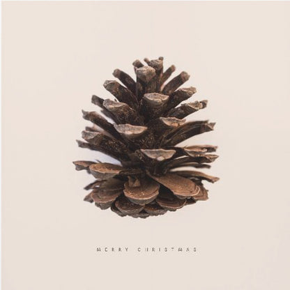 A minimalist art print featuring a single brown pinecone centered on an off-white background. The words 'MERRY CHRISTMAS' are printed in a simple, spaced-out font below the pinecone. The entire image is enclosed in a light wood frame. Artwork