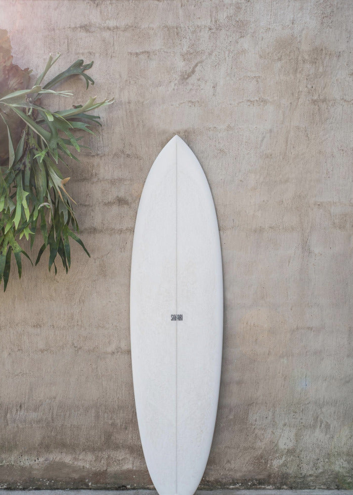 A minimalist photograph of a white surfboard leaning against a textured beige concrete wall. To the left, a large green staghorn fern adds a touch of nature. The entire scene is enclosed in a simple black frame. Artwork