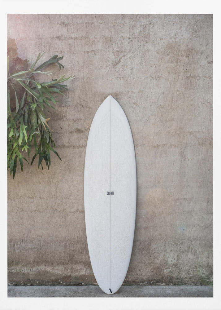 A minimalist photograph of a white surfboard leaning against a textured beige concrete wall. To the left, a large green staghorn fern adds a touch of nature. The entire scene is enclosed in a simple black frame. Artwork