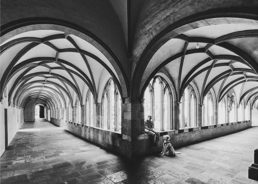 A black and white photograph of a person and their dog sitting in the corner of a Gothic cloister. The stone hallway features a dramatic vaulted ceiling and a long row of arched windows, creating a powerful sense of perspective and light. Decor