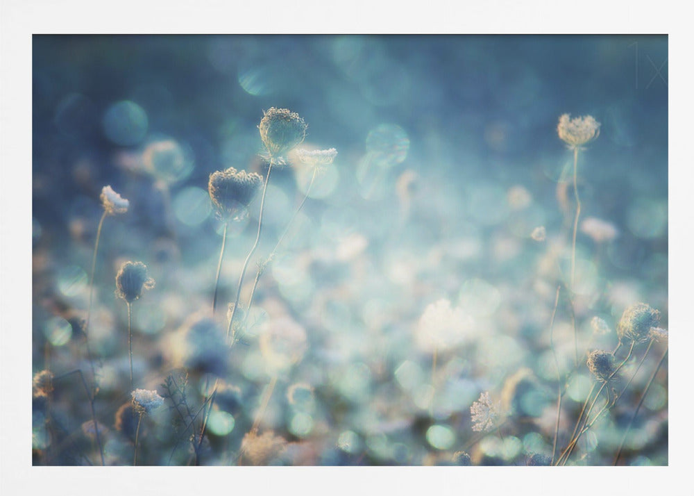 A dreamy, soft-focus photograph of dried wildflowers silhouetted against a shimmering background of blue and white bokeh lights, creating a magical and ethereal atmosphere. The artwork is presented in a brushed silver frame. Wall Art