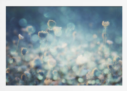 A dreamy, soft-focus photograph of dried wildflowers silhouetted against a shimmering background of blue and white bokeh lights, creating a magical and ethereal atmosphere. The artwork is presented in a brushed silver frame. Wall Art