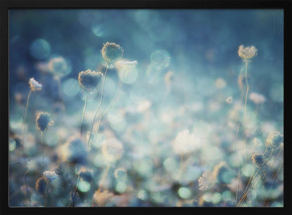 A dreamy, soft-focus photograph of dried wildflowers silhouetted against a shimmering background of blue and white bokeh lights, creating a magical and ethereal atmosphere. The artwork is presented in a brushed silver frame. Wall Art