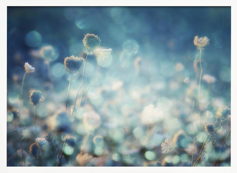 A dreamy, soft-focus photograph of dried wildflowers silhouetted against a shimmering background of blue and white bokeh lights, creating a magical and ethereal atmosphere. The artwork is presented in a brushed silver frame. Wall Art