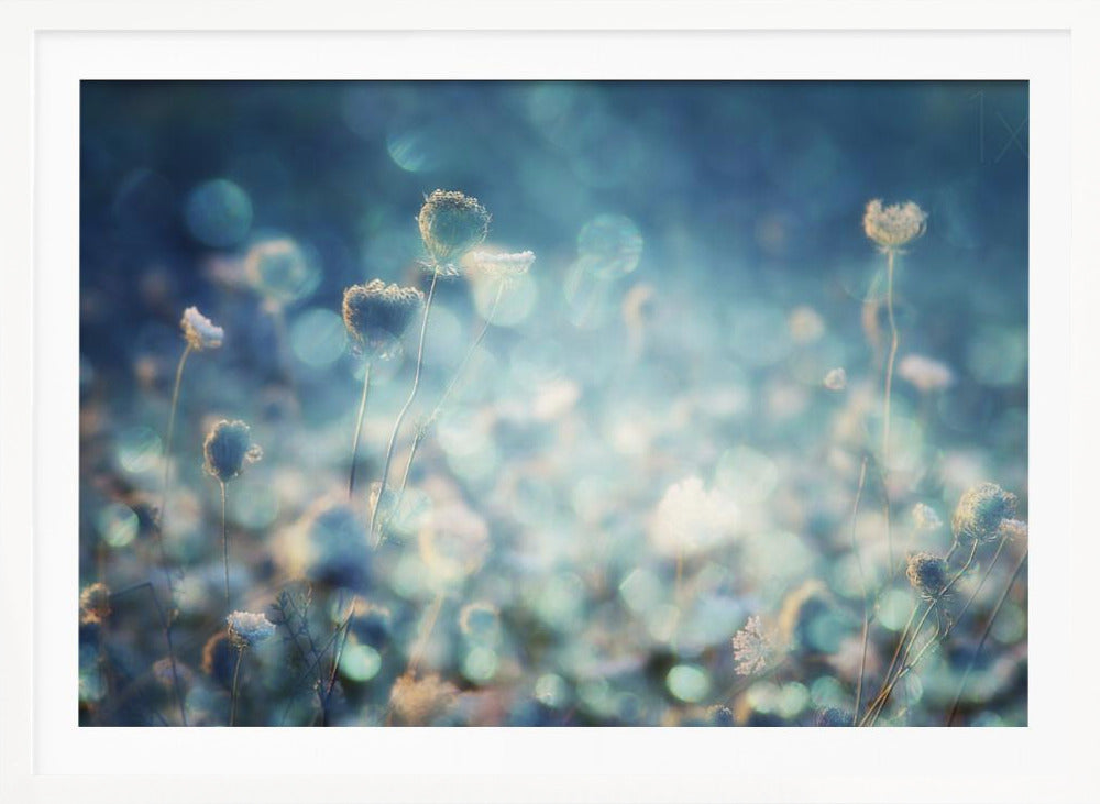A dreamy, soft-focus photograph of dried wildflowers silhouetted against a shimmering background of blue and white bokeh lights, creating a magical and ethereal atmosphere. The artwork is presented in a brushed silver frame. Wall Art