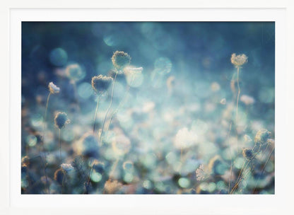 A dreamy, soft-focus photograph of dried wildflowers silhouetted against a shimmering background of blue and white bokeh lights, creating a magical and ethereal atmosphere. The artwork is presented in a brushed silver frame. Wall Art