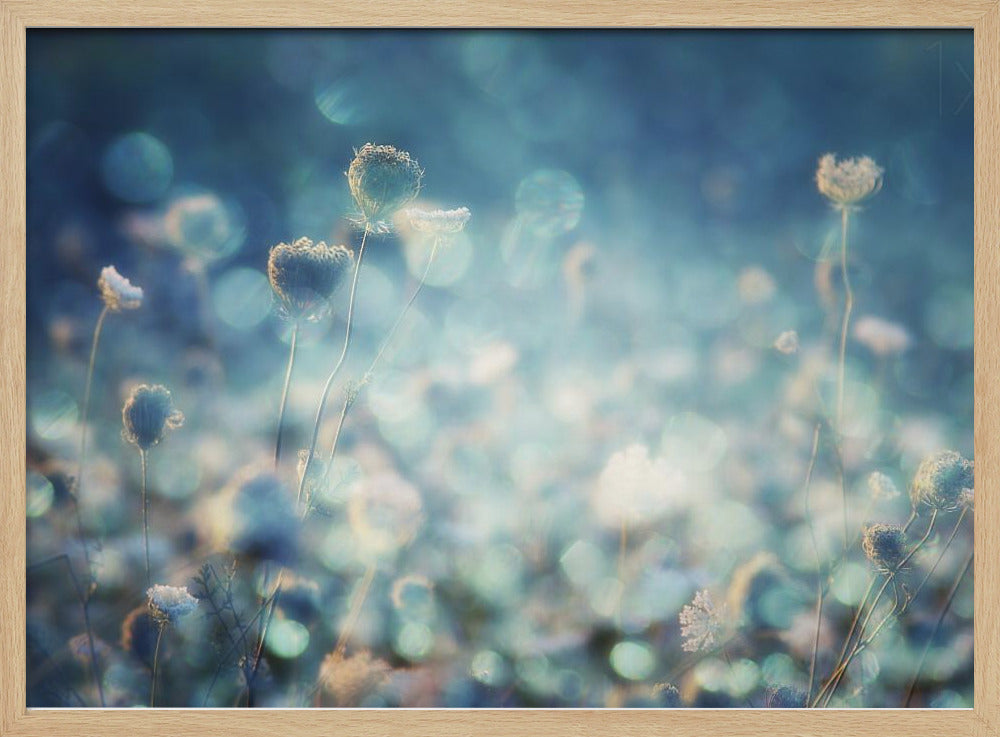A dreamy, soft-focus photograph of dried wildflowers silhouetted against a shimmering background of blue and white bokeh lights, creating a magical and ethereal atmosphere. The artwork is presented in a brushed silver frame. Wall Art