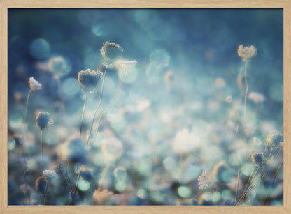 A dreamy, soft-focus photograph of dried wildflowers silhouetted against a shimmering background of blue and white bokeh lights, creating a magical and ethereal atmosphere. The artwork is presented in a brushed silver frame. Wall Art