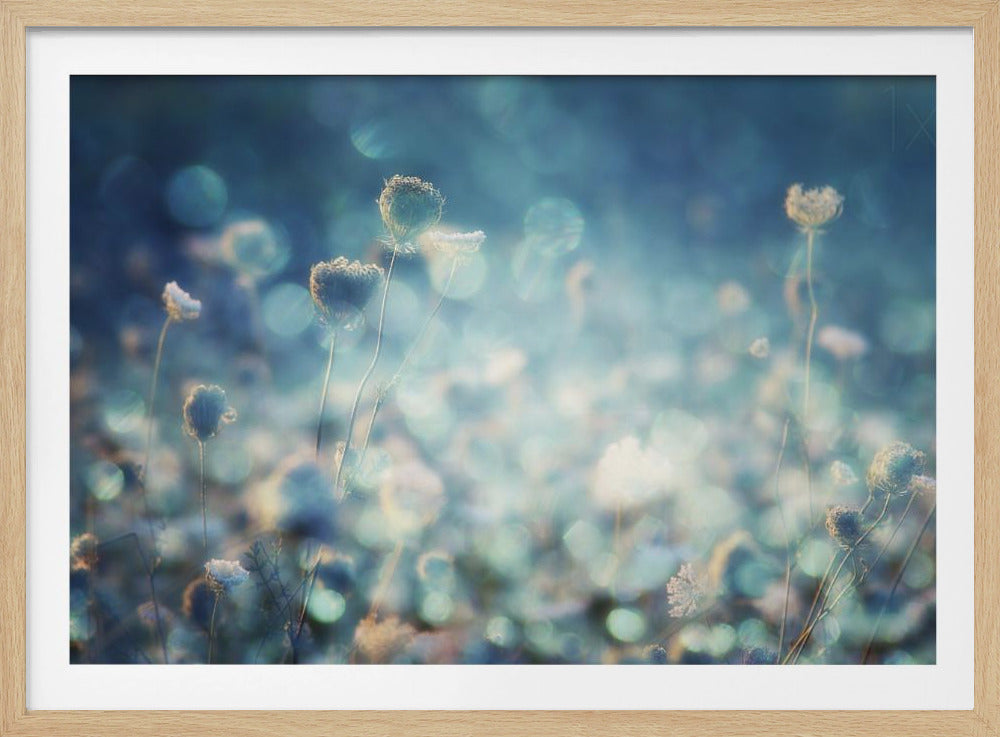 A dreamy, soft-focus photograph of dried wildflowers silhouetted against a shimmering background of blue and white bokeh lights, creating a magical and ethereal atmosphere. The artwork is presented in a brushed silver frame. Wall Art