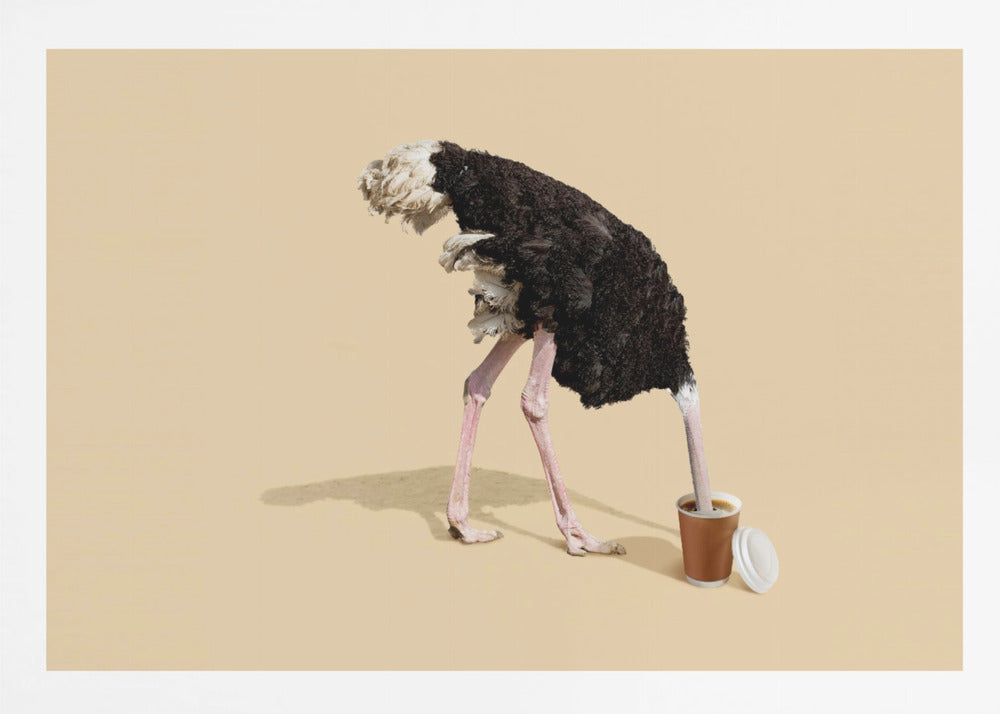 A humorous and surreal image of a black and white ostrich with its head buried inside a disposable coffee cup, set against a plain beige background and enclosed in a silver frame. Decor