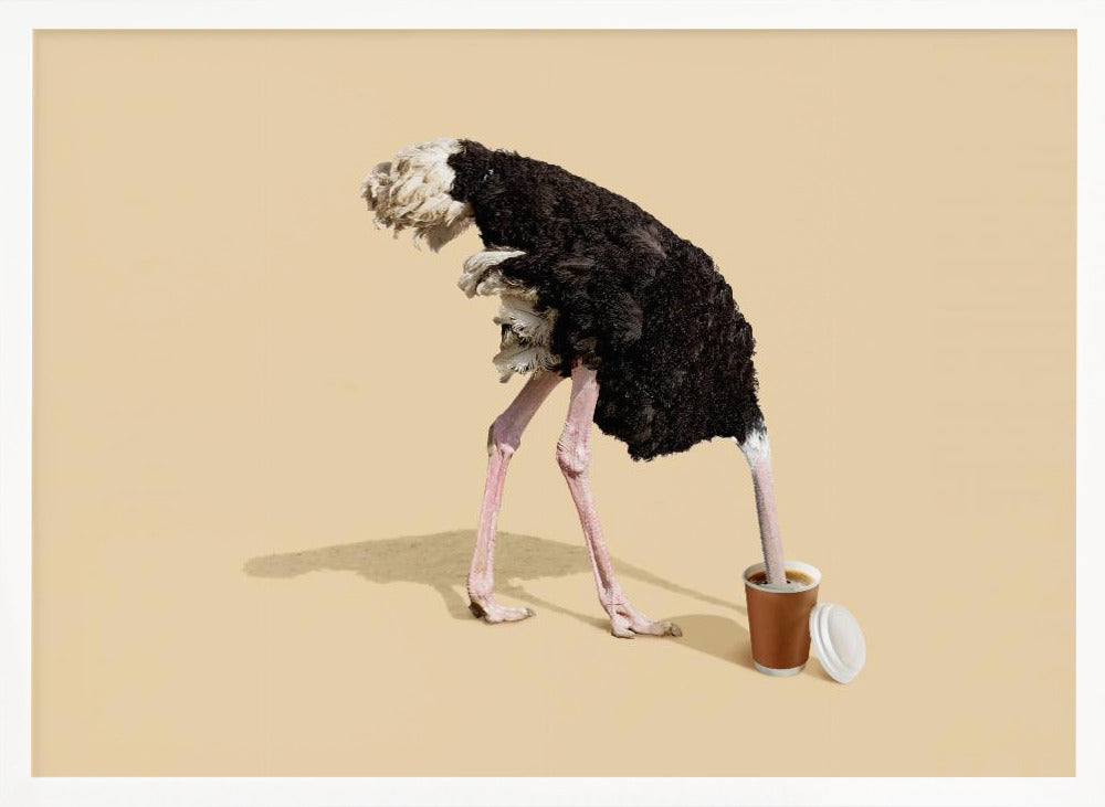 A humorous and surreal image of a black and white ostrich with its head buried inside a disposable coffee cup, set against a plain beige background and enclosed in a silver frame. Decor
