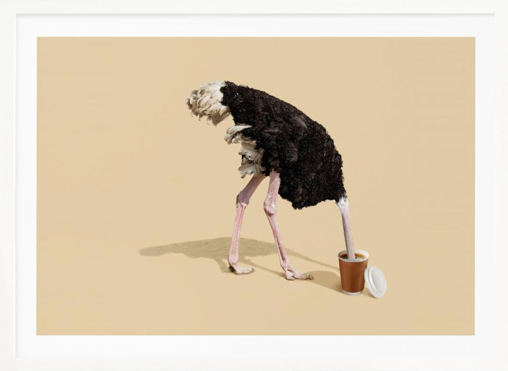 A humorous and surreal image of a black and white ostrich with its head buried inside a disposable coffee cup, set against a plain beige background and enclosed in a silver frame. Decor