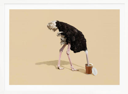 A humorous and surreal image of a black and white ostrich with its head buried inside a disposable coffee cup, set against a plain beige background and enclosed in a silver frame. Decor