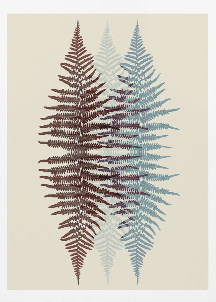 A modern botanical art print featuring three overlapping fern fronds against a cream background. The frond on the left is reddish-brown, the one on the right is blue, and a fainter blue frond is visible in the middle, creating a layered, translucent effect. The entire piece is enclosed in a simple black frame. Wall Art
