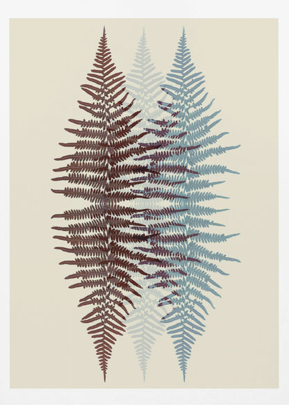 A modern botanical art print featuring three overlapping fern fronds against a cream background. The frond on the left is reddish-brown, the one on the right is blue, and a fainter blue frond is visible in the middle, creating a layered, translucent effect. The entire piece is enclosed in a simple black frame. Wall Art
