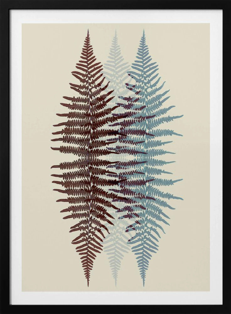 A modern botanical art print featuring three overlapping fern fronds against a cream background. The frond on the left is reddish-brown, the one on the right is blue, and a fainter blue frond is visible in the middle, creating a layered, translucent effect. The entire piece is enclosed in a simple black frame. Wall Art