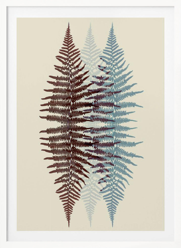 A modern botanical art print featuring three overlapping fern fronds against a cream background. The frond on the left is reddish-brown, the one on the right is blue, and a fainter blue frond is visible in the middle, creating a layered, translucent effect. The entire piece is enclosed in a simple black frame. Wall Art