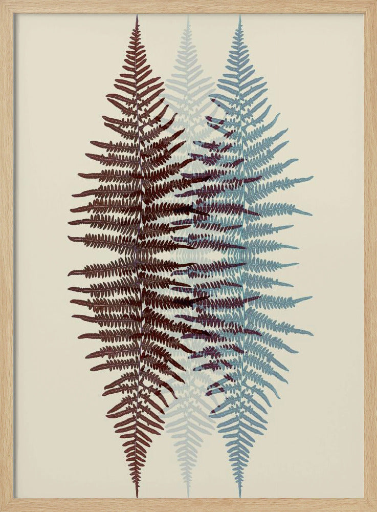 A modern botanical art print featuring three overlapping fern fronds against a cream background. The frond on the left is reddish-brown, the one on the right is blue, and a fainter blue frond is visible in the middle, creating a layered, translucent effect. The entire piece is enclosed in a simple black frame. Wall Art