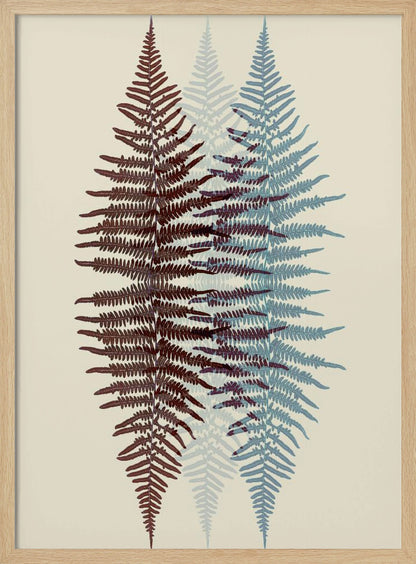 A modern botanical art print featuring three overlapping fern fronds against a cream background. The frond on the left is reddish-brown, the one on the right is blue, and a fainter blue frond is visible in the middle, creating a layered, translucent effect. The entire piece is enclosed in a simple black frame. Wall Art