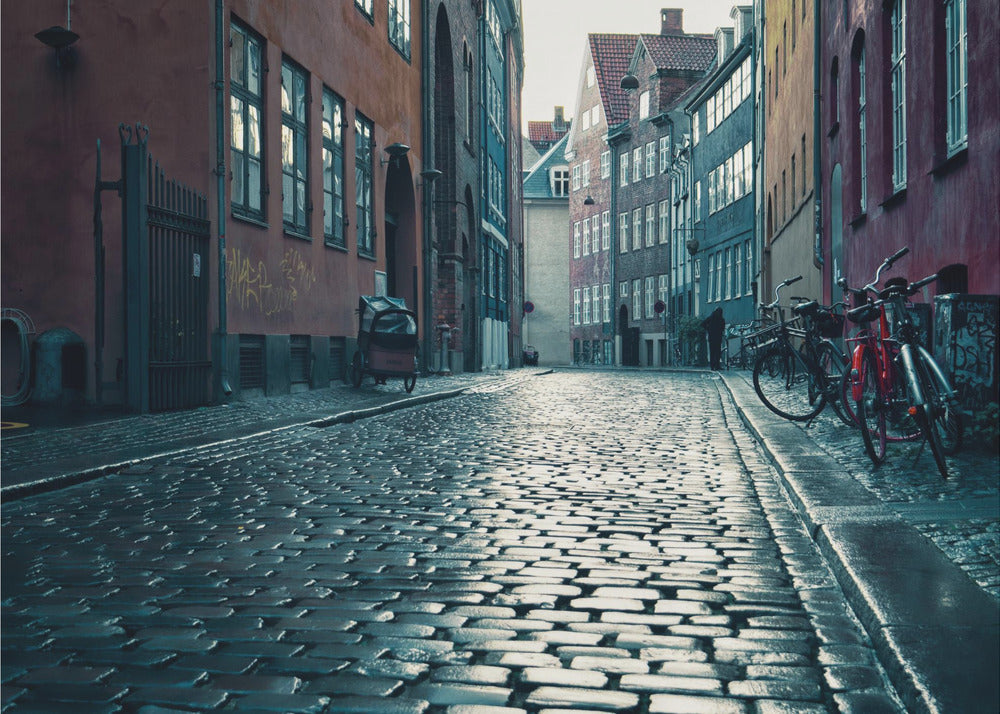 A low-angle shot of a wet, reflective cobblestone street in a narrow European alley. The street is lined with historic, colorful buildings in shades of red, orange, and blue under an overcast sky. Bicycles are parked along the sidewalk on the right, adding to the quiet, moody city scene. Poster
