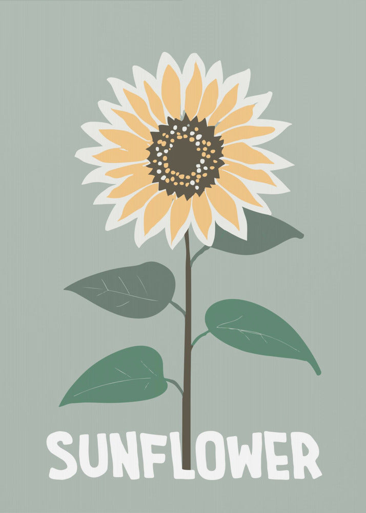 A stylized illustration of a single sunflower against a muted sage green background. The flower has yellow and white petals, a dark brown center, and a thin brown stem with green leaves. At the bottom, the word 'SUNFLOWER' is written in a bold, white, sans-serif font. The artwork is presented within a simple black frame. Decor