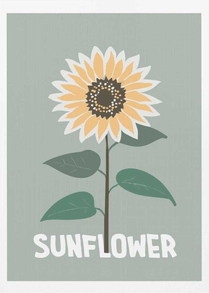 A stylized illustration of a single sunflower against a muted sage green background. The flower has yellow and white petals, a dark brown center, and a thin brown stem with green leaves. At the bottom, the word 'SUNFLOWER' is written in a bold, white, sans-serif font. The artwork is presented within a simple black frame. Decor