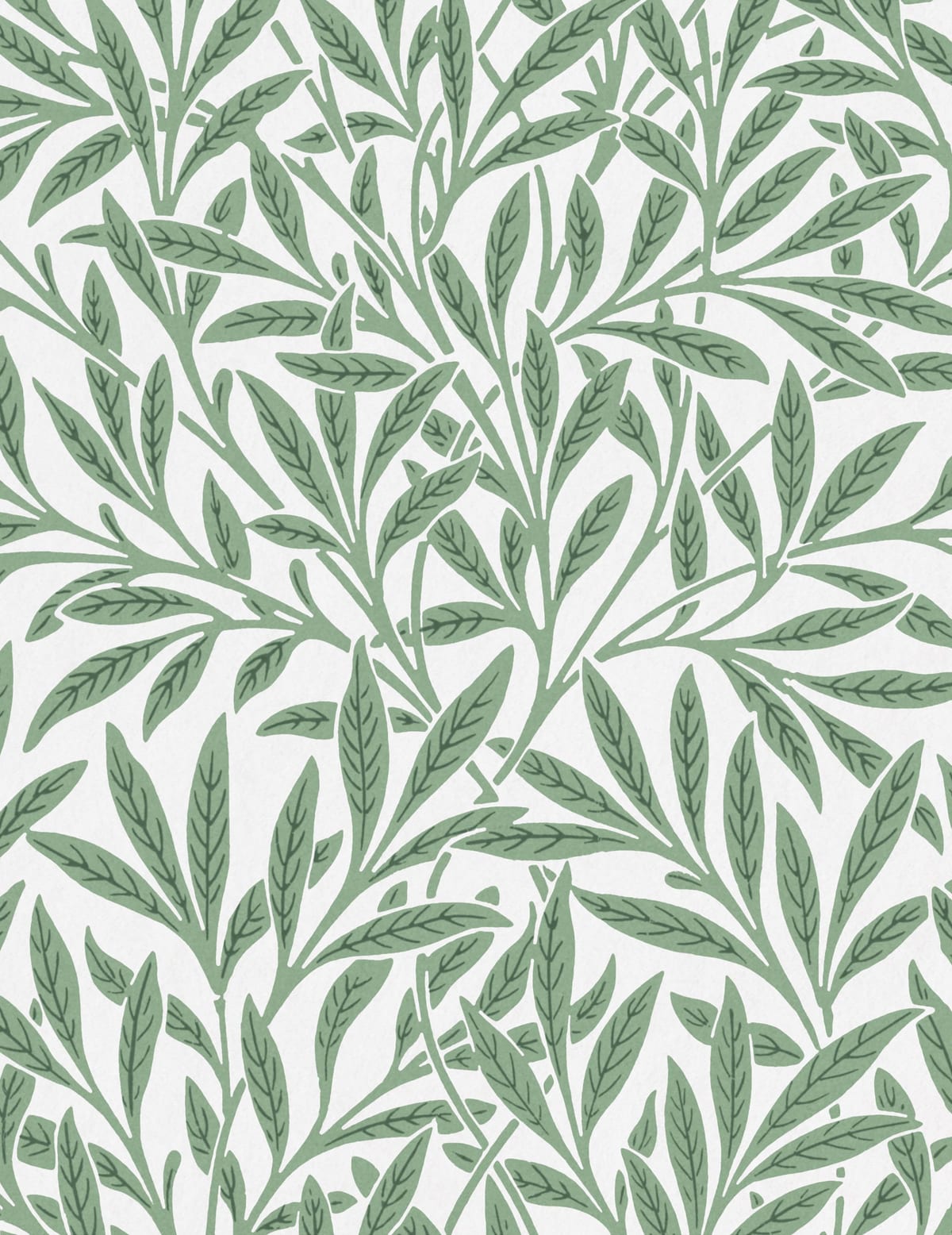 variant-27x35_no-margin