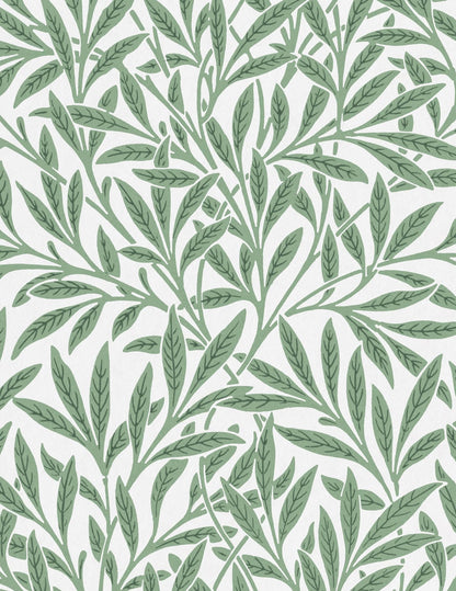 variant-27x35_no-margin