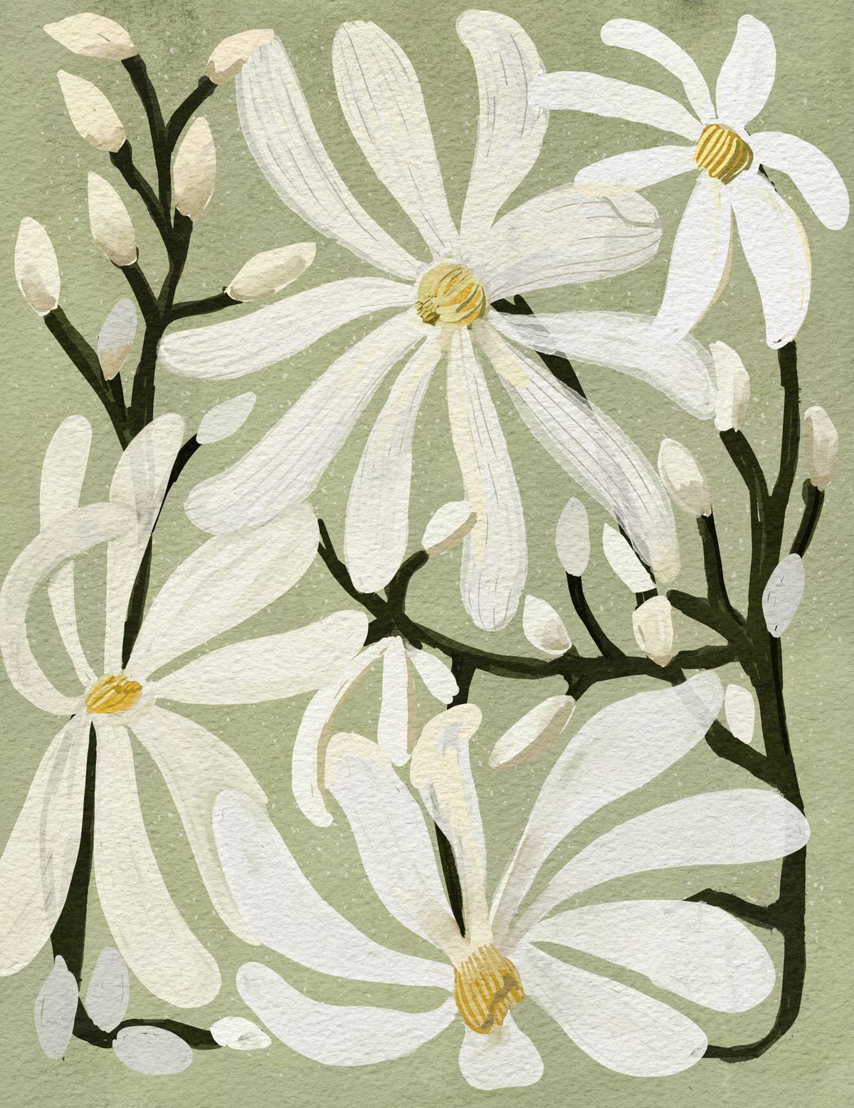 variant-27x35_no-margin