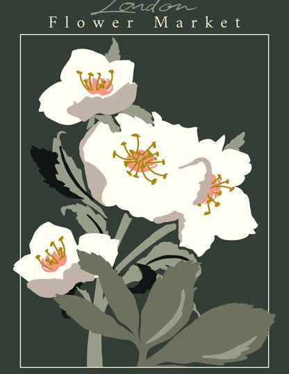 variant-27x35_no-margin