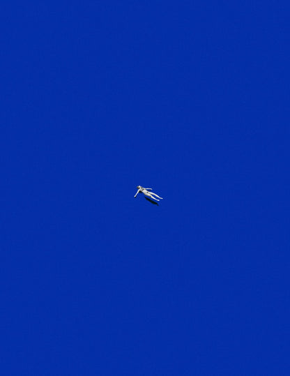 variant-27x35_no-margin