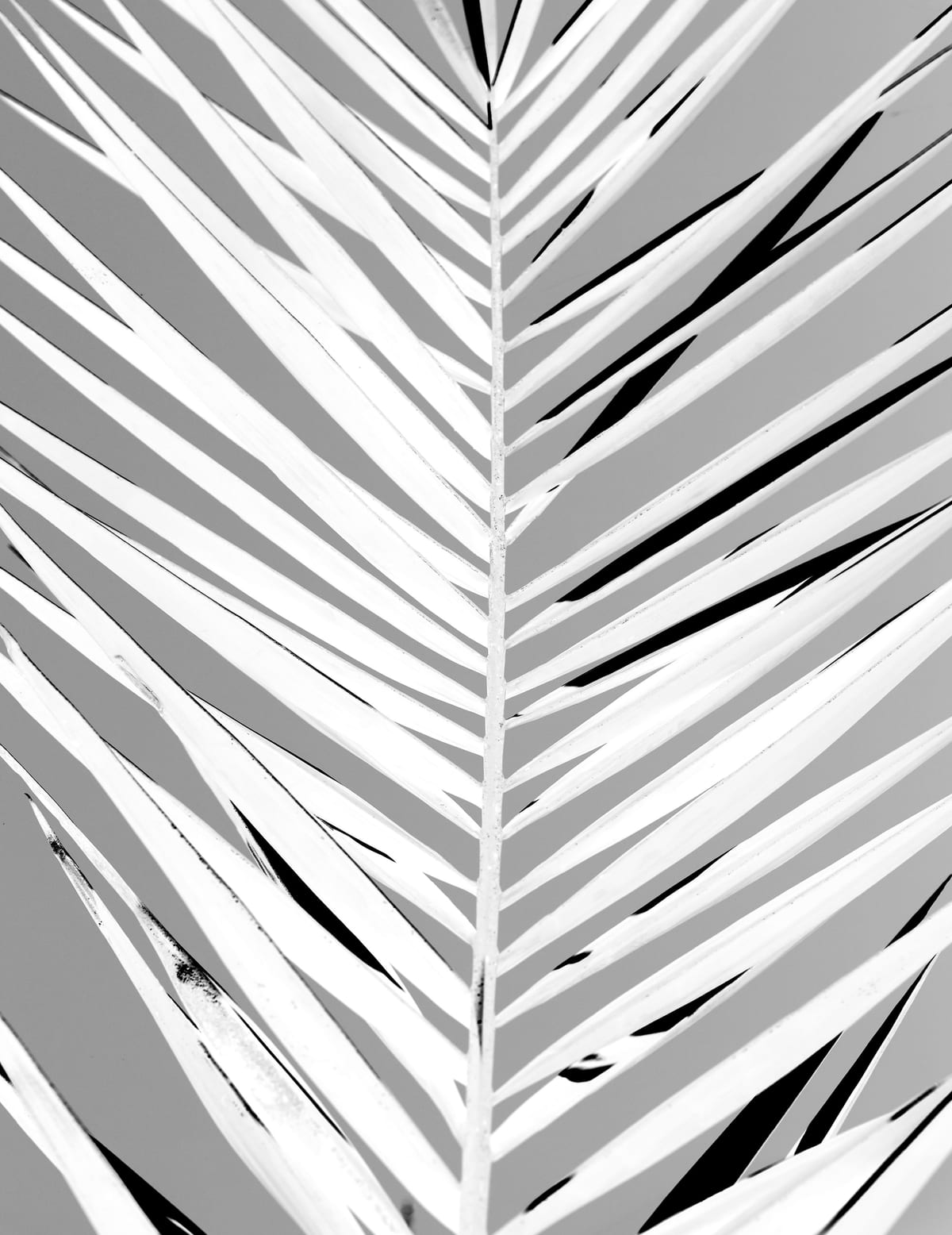 variant-27x35_no-margin