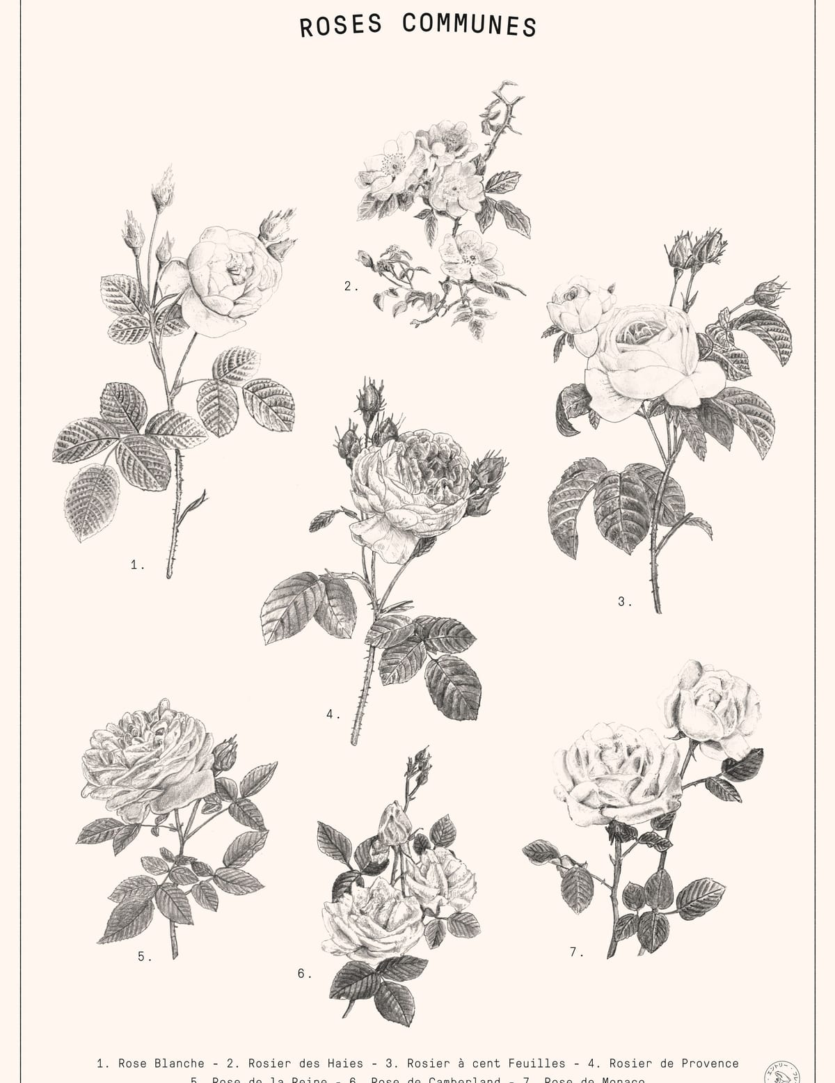 variant-27x35_no-margin