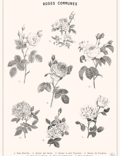 variant-27x35_no-margin