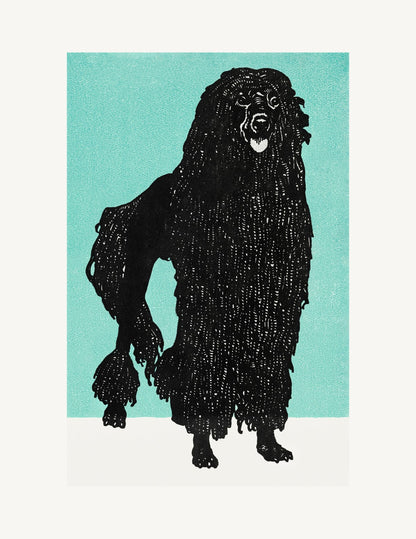 variant-27x35_no-margin
