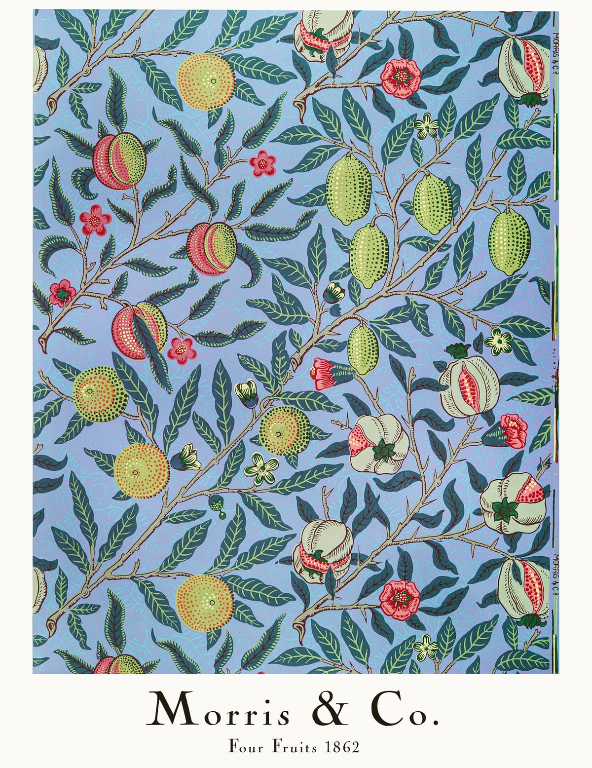 variant-27x35_no-margin