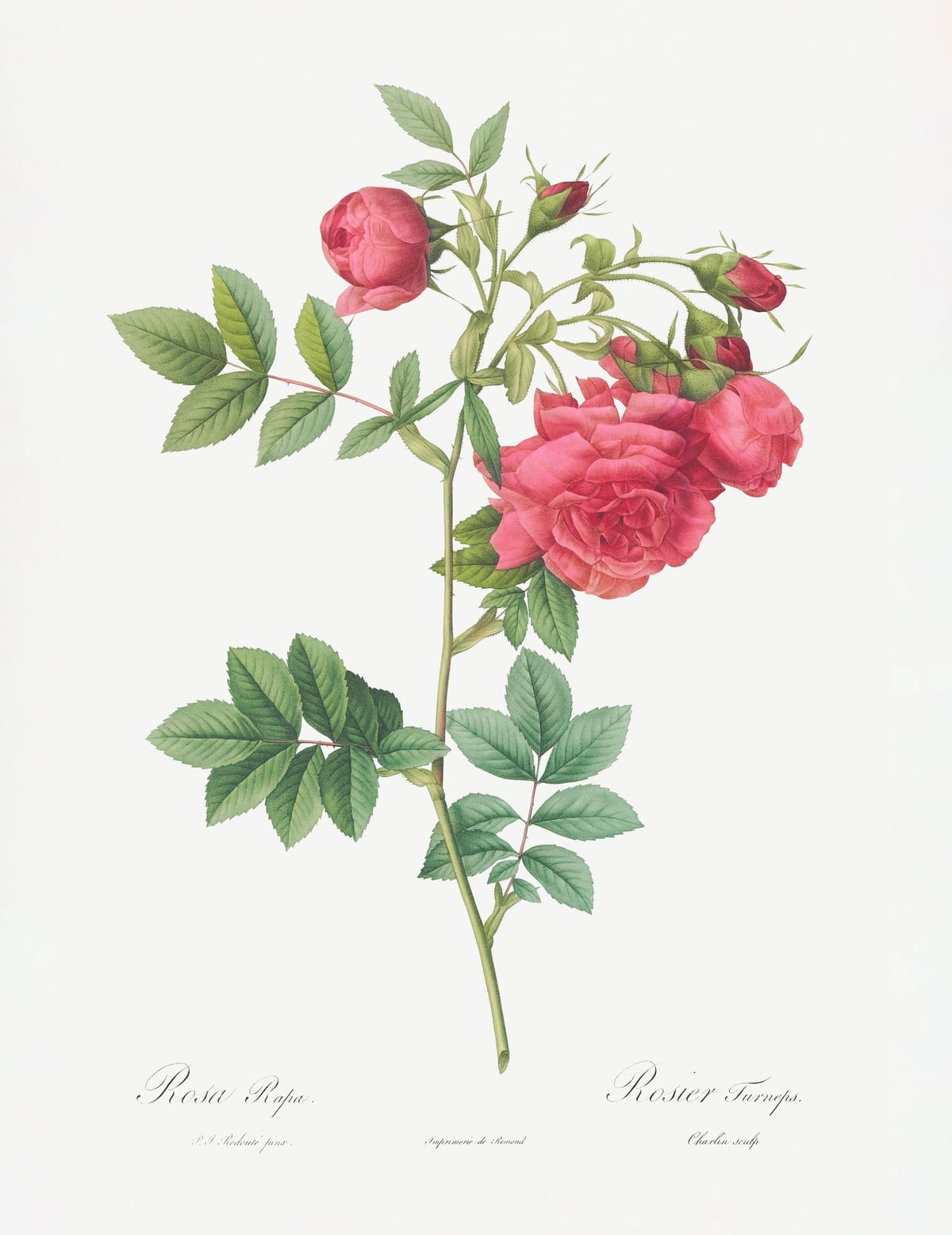 variant-27x35_no-margin
