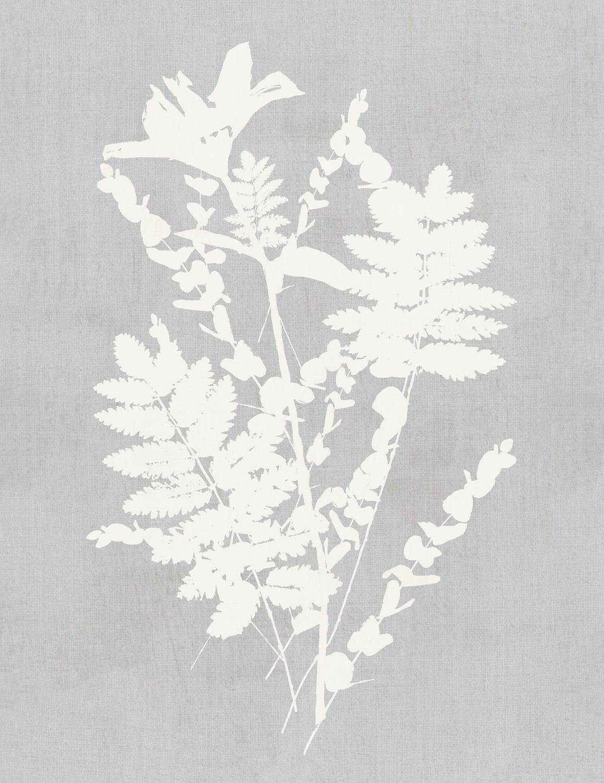 variant-27x35_no-margin