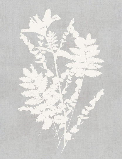 variant-27x35_no-margin