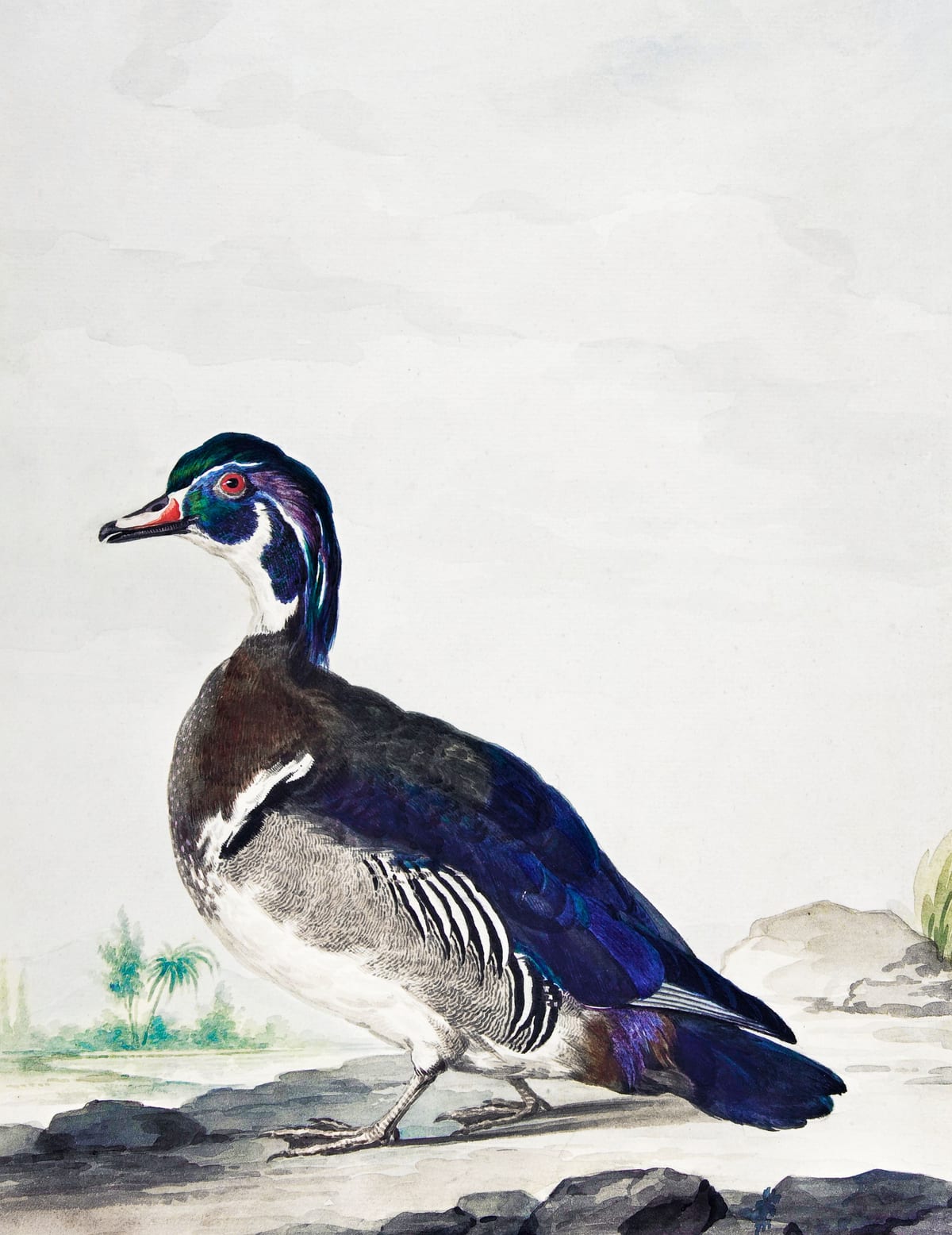 variant-27x35_no-margin