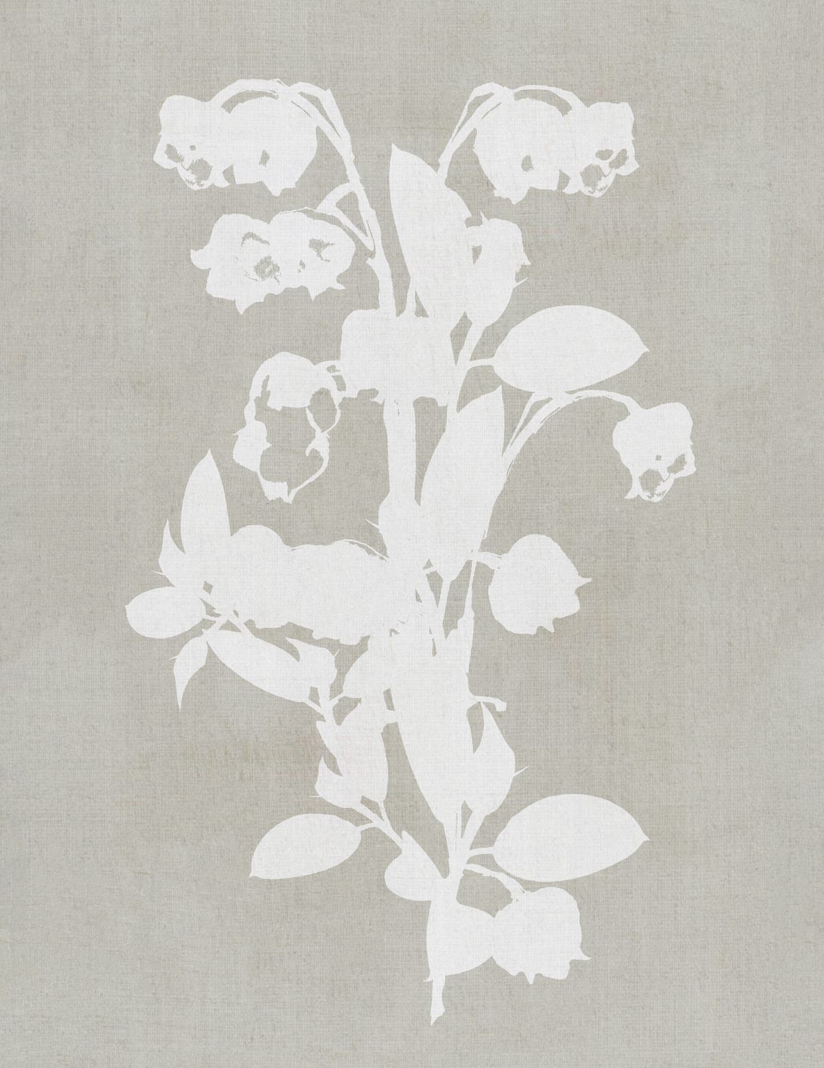 variant-27x35_no-margin