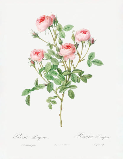 variant-27x35_no-margin